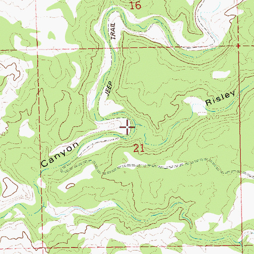 Topographic Map of Risley Canyon, CO
