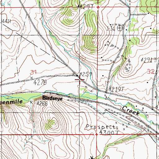 Topographic Map of Birdseye Post Office (historical), MT