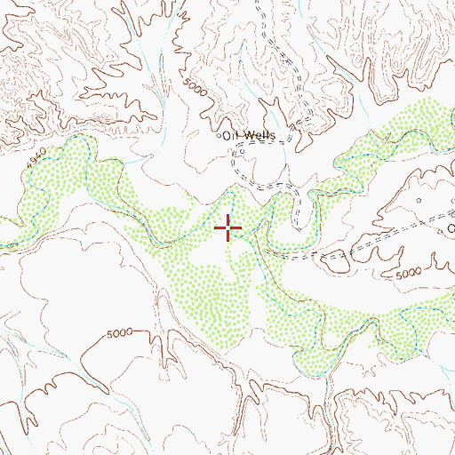 Topographic Map of Navajo Wash, CO