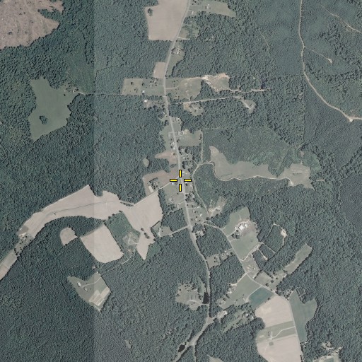 Aerial/Satellite Image of Cobham Park School (historical), VA