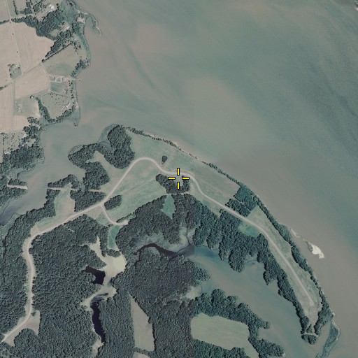 Aerial/Satellite Image of Goodrich Farm, VA