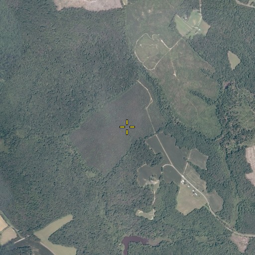 Aerial/Satellite Image of Smoots Mill (historical), VA