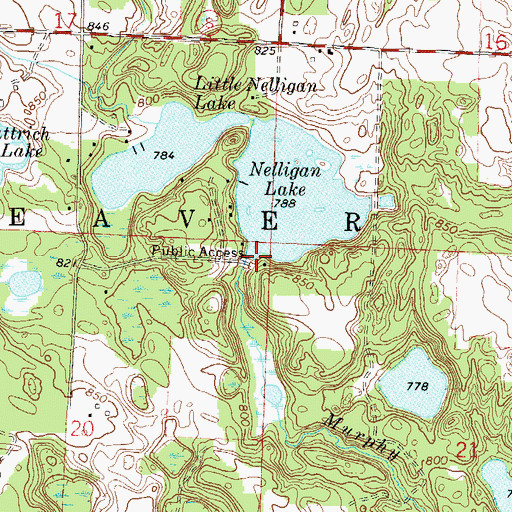 Topographic Map of Nelligan Lake 2WP2564 Dam, WI