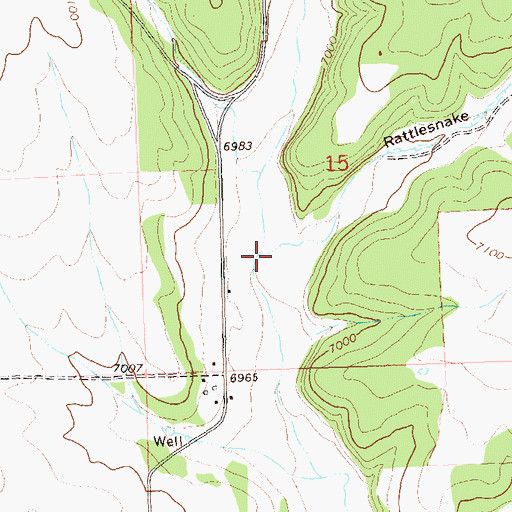 Topographic Map of Rattlesnake Gulch, CO