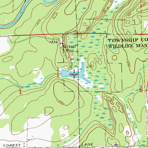 Topographic Map of Township Corners Flowage, WI