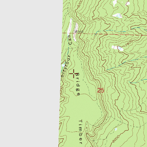 Topographic Map of Bridge Timber Mountain, CO