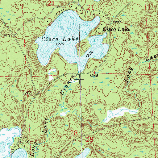 Topographic Map of Cisco Lake Dam, WI