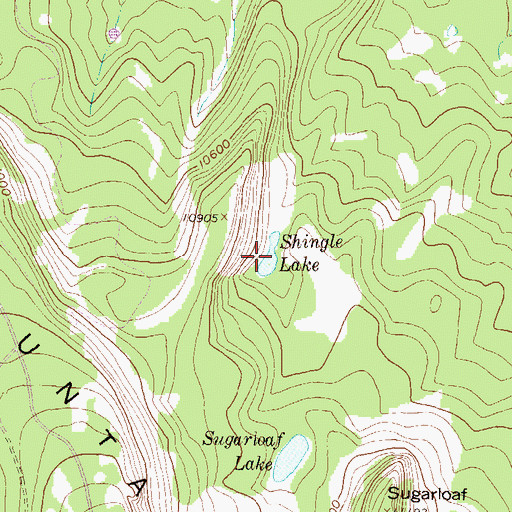 Topographic Map of Shingle Lake, CO