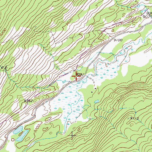 Topographic Map of Whitney Creek, CO