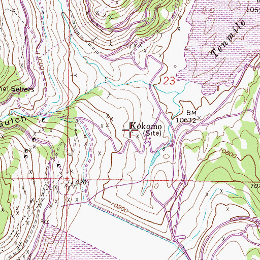 Topographic Map of Kokomo (historical), CO