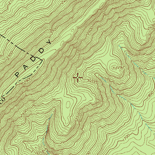 Topographic Map of Fowlers Spring, VA