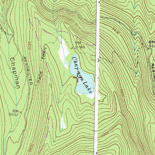 Topographic Map of Chapman Lake, CO