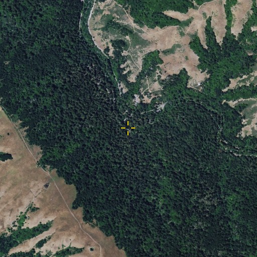 Aerial/Satellite Image of Redwood Grove Picnic Area, CA