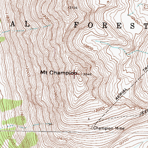 Topographic Map of Mount Champion, CO