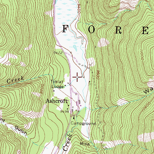 Topographic Map of Devaney Creek, CO