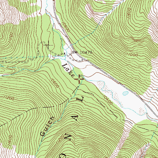 Topographic Map of Negro Gulch, CO