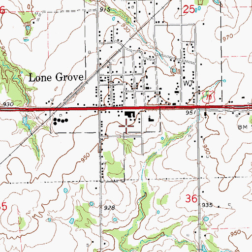 Topographic Map of Lone Grove Primary School, OK