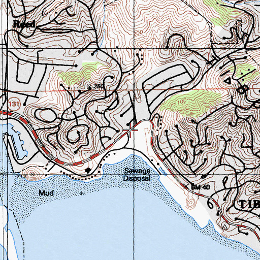 Topographic Map of Blackies Pasture, CA