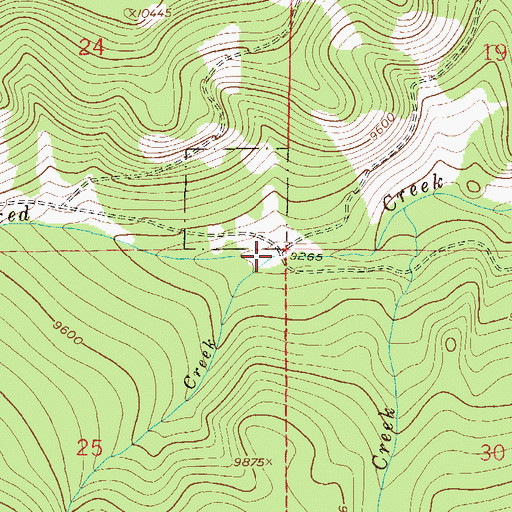 Topographic Map of Ptarmigan Creek, CO