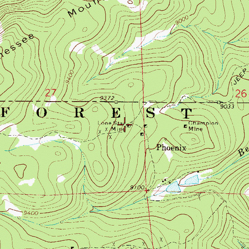 Topographic Map of Lone Star Mine, CO