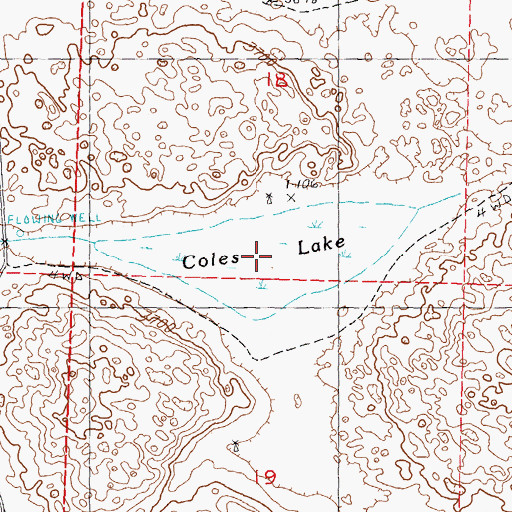 Topographic Map of Coles Lake, NE