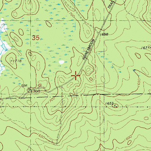 Topographic Map of Honeymoon Trail, MN