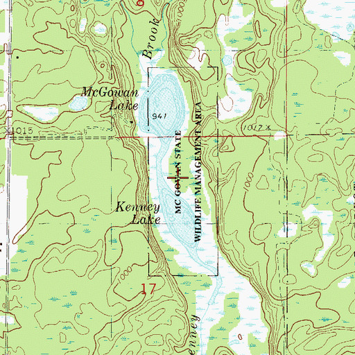 Topographic Map of McGowan State Wildlife Management Area, MN
