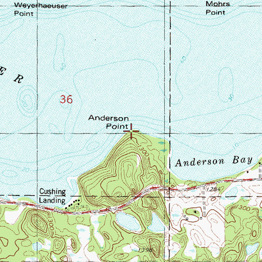 Topographic Map of Anderson Point, MN