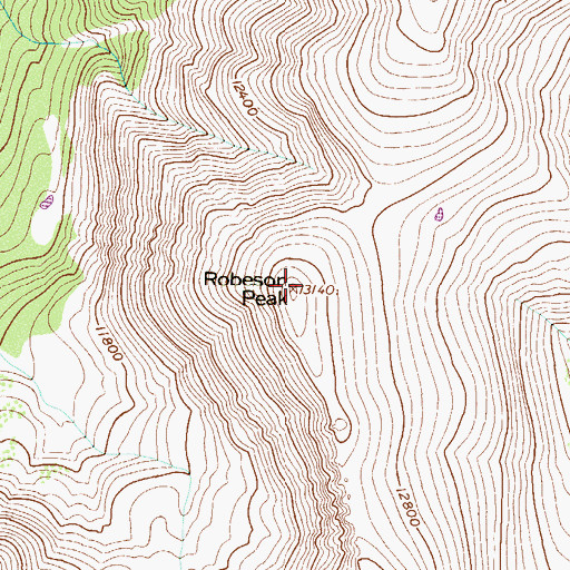 Topographic Map of Robeson Peak, CO