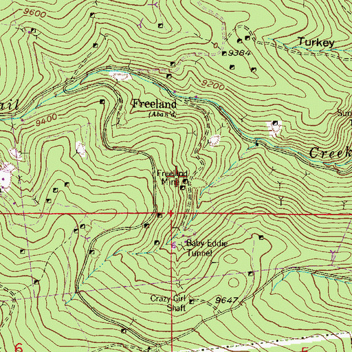 Topographic Map of Freeland Mine, CO