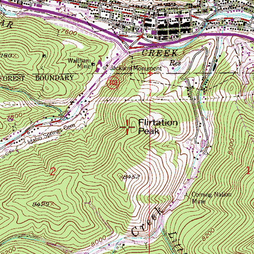 Topographic Map of Flirtation Peak, CO