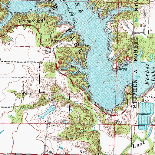 Topographic Map of Black Oak Picnic Area, IL