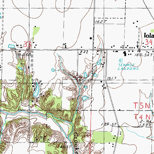 Topographic Map of Iola Cemetery, IL