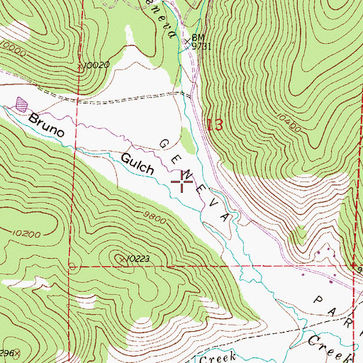 Topographic Map of Buno Gulch, CO