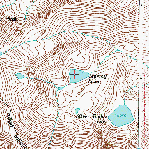 Topographic Map of Murray Lake, CO