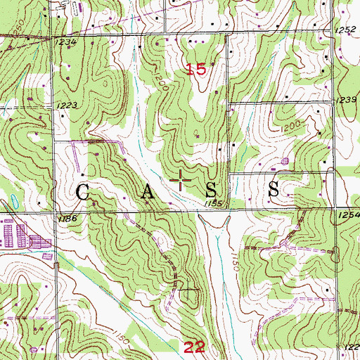 Topographic Map of Township of Cass, OK