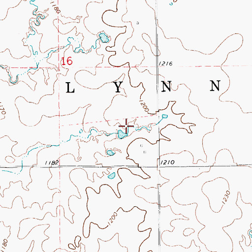 Topographic Map of Township of Lynn, OK