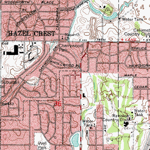 Topographic Map of Hollydale Park, IL