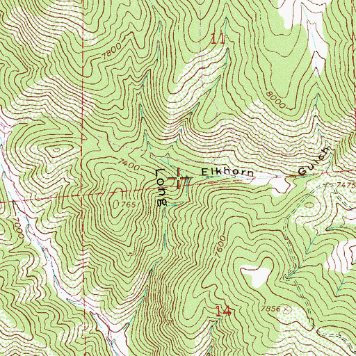 Topographic Map of Elkhorn Gulch, CO