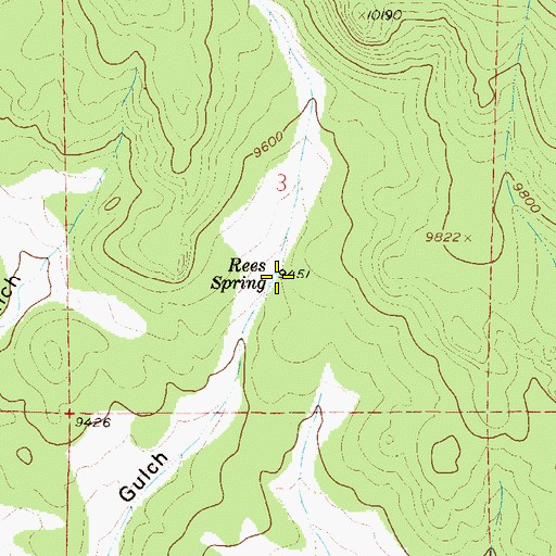Topographic Map of Rees Spring, CO