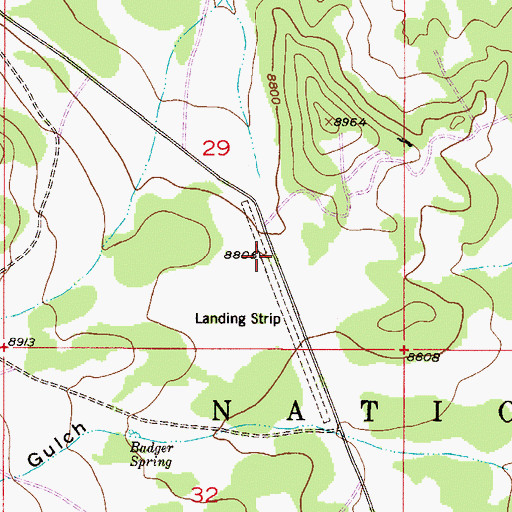 Topographic Map of Badger Flats Airstrip (historical), CO