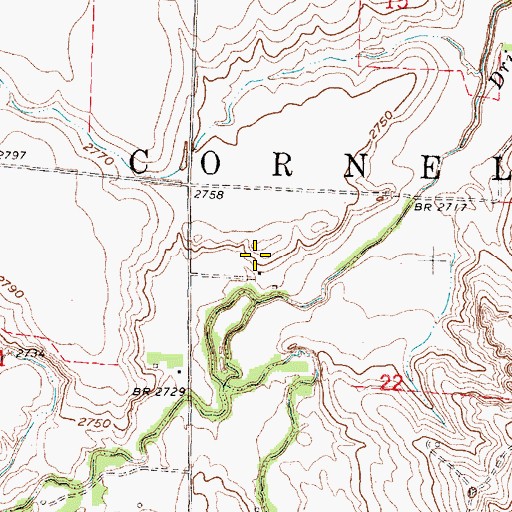 Topographic Map of Township of Cornell, NE