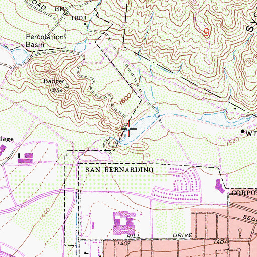 Topographic Map of Badger Percolation Basin, CA