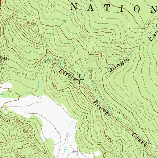 Topographic Map of Jungle Canyon, CO