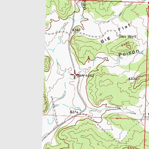 Topographic Map of Poison Canyon, CO