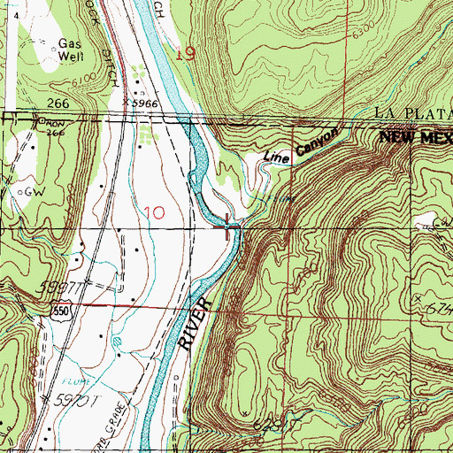 Topographic Map of Line Canyon, NM