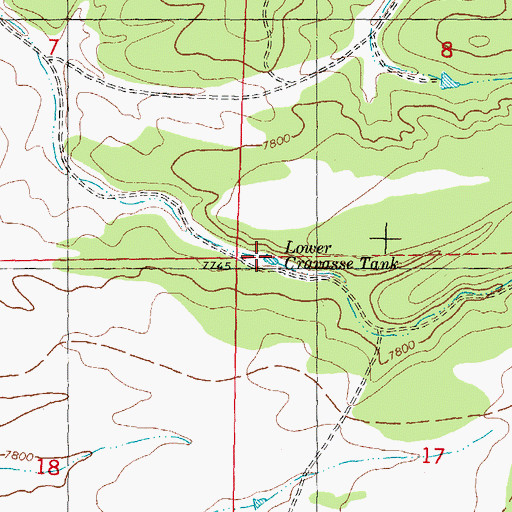Topographic Map of Lower Cravasse Tank, NM