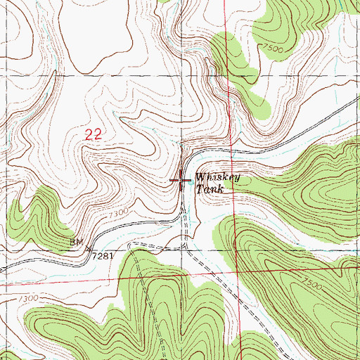 Topographic Map of Railroad Tank, NM