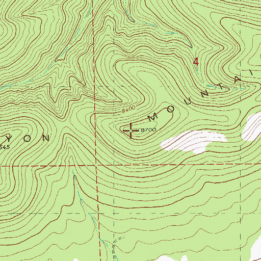 Topographic Map of Long Canyon Mountains, NM