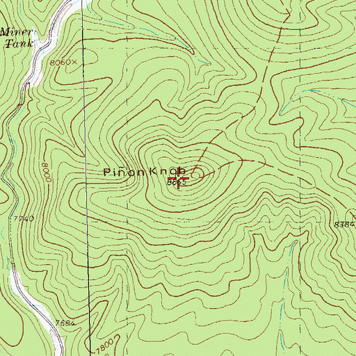 Topographic Map of Pinon Knob, NM